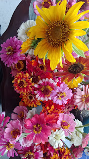 flowers of all colors