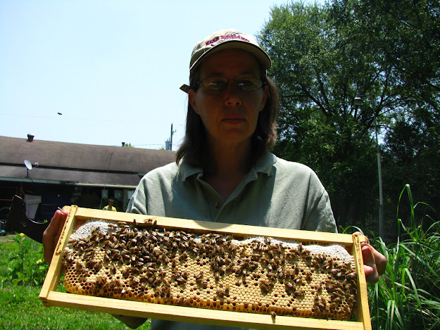 Susan holding a frame of bees